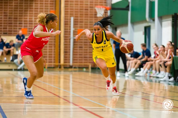 Image 5 Nordic Championship 2024